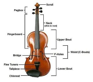 violin musical instrument